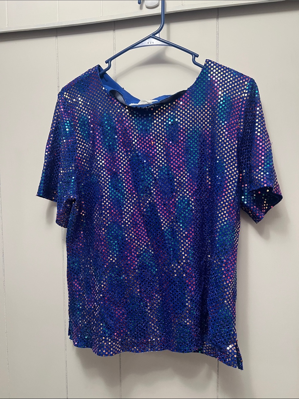Brands Goode vintage Sequin Mesh Short Sleeve Top - Blue/Purple